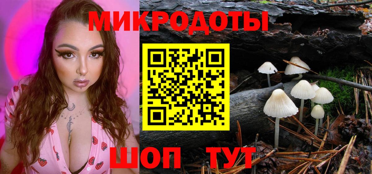 Галлюциногенные грибы Magic Shrooms Кохма